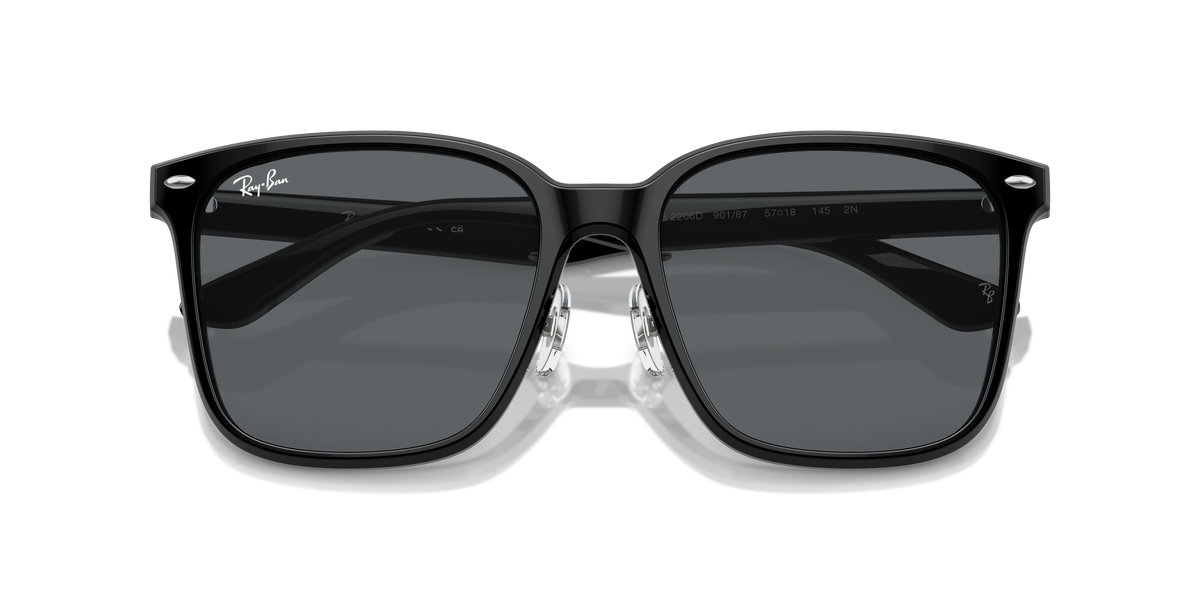 Ray-Ban RB2206D 901/87