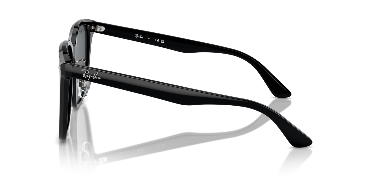 Ray-Ban RB2206D 901/87