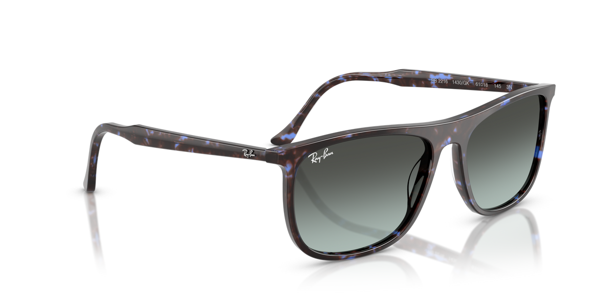 Ray-Ban RB2216 1430GK