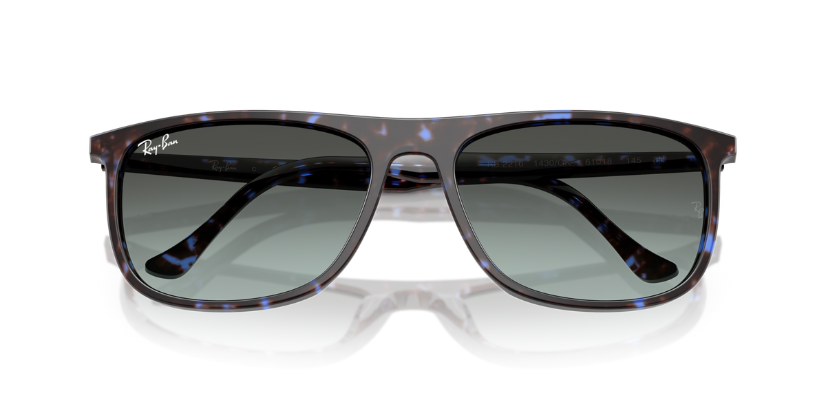 Ray-Ban RB2216 1430GK