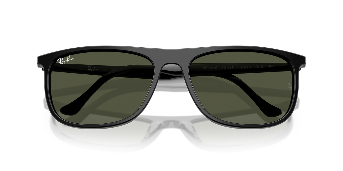 Ray-Ban RB2216 901/31