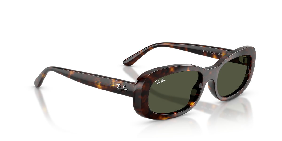 Ray-Ban RB2221 902/31