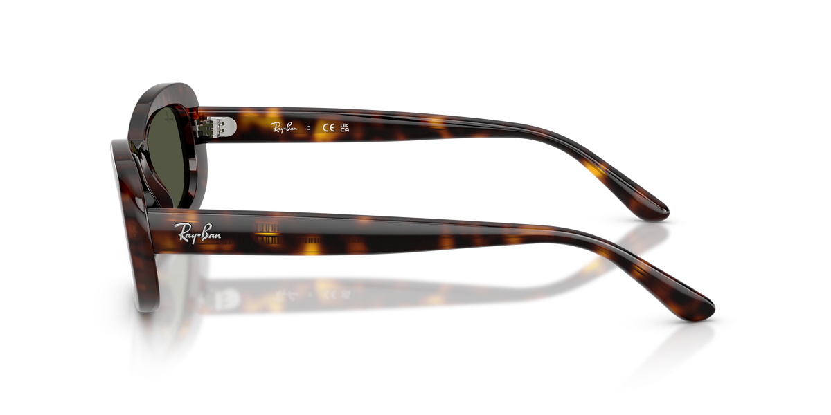 Ray-Ban RB2221 902/31