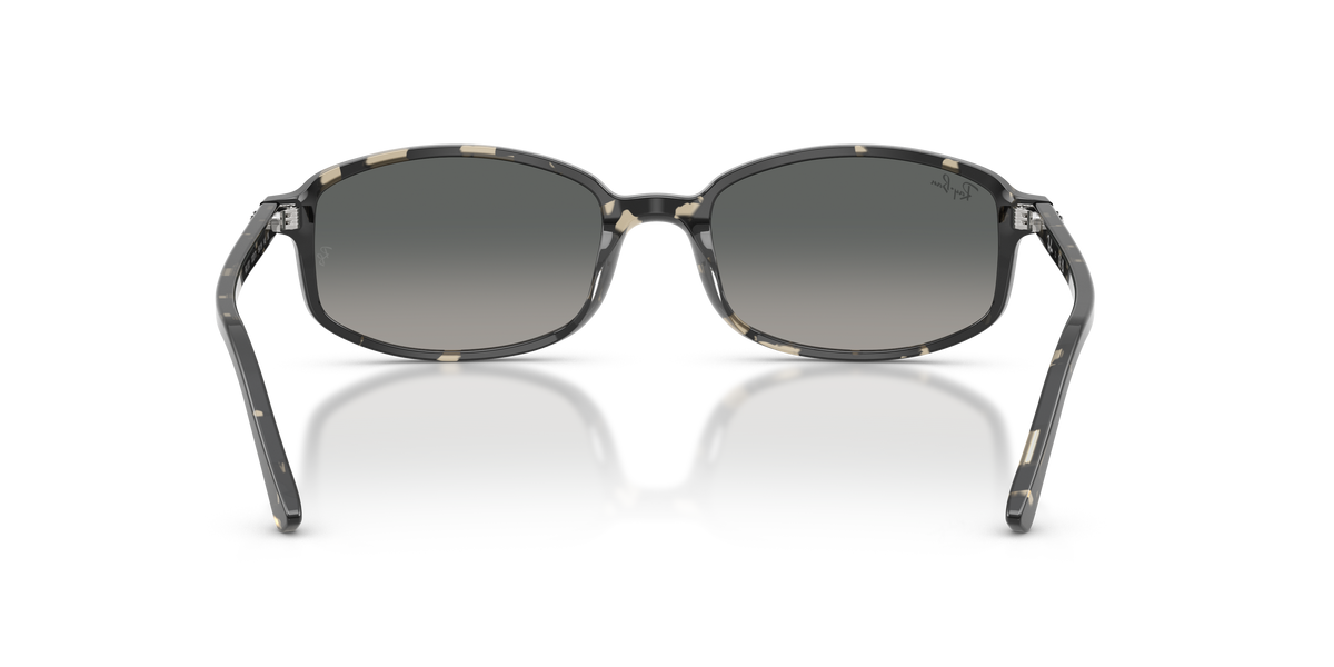 Ray-Ban RB2232 133371