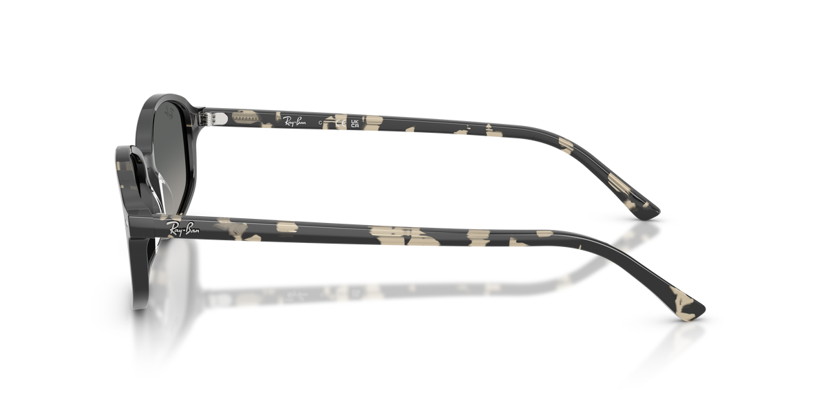 Ray-Ban RB2232 133371