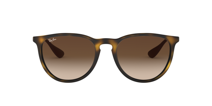 Ray-Ban Erika RB4171 865/13
