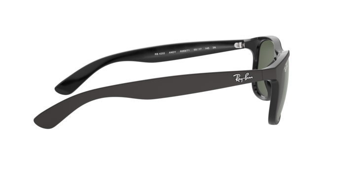 Ray-Ban Andy RB4202 606971