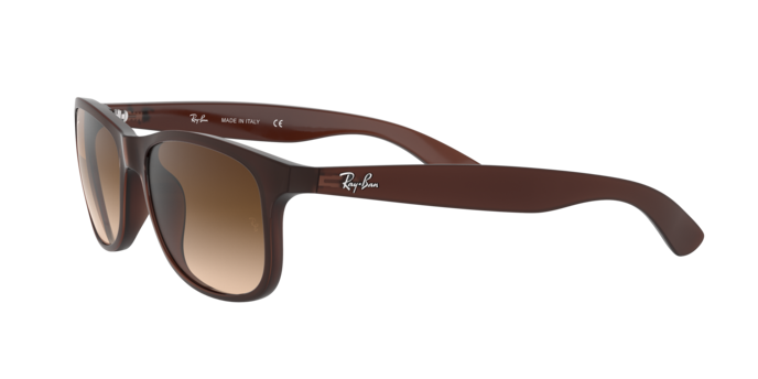 Ray-Ban Andy RB4202 607313