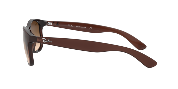 Ray-Ban Andy RB4202 607313