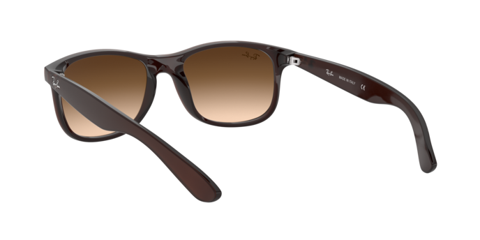 Ray-Ban Andy RB4202 607313