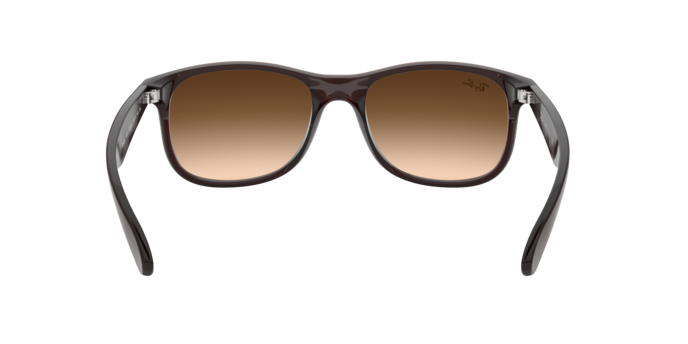 Ray-Ban Andy RB4202 607313