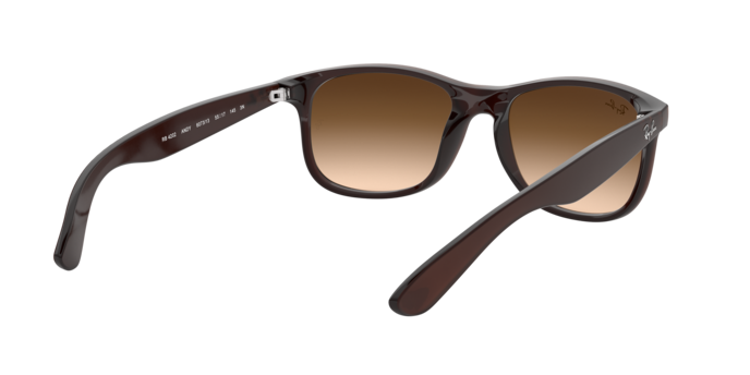 Ray-Ban Andy RB4202 607313