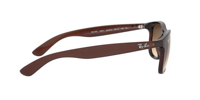 Ray-Ban Andy RB4202 607313