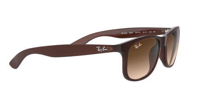 Ray-Ban Andy RB4202 607313