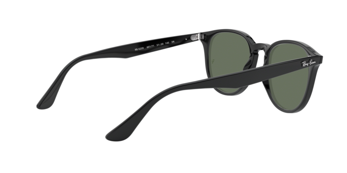 Ray-Ban RB4259 601/71
