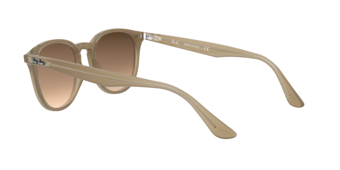 Ray-Ban RB4259F 616613