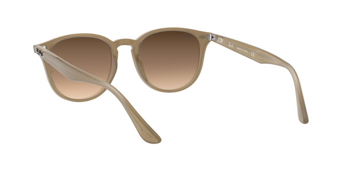 Ray-Ban RB4259F 616613