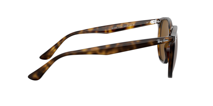 Ray-Ban RB4306 710/83