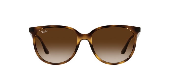 Ray-Ban RB4378 710/13