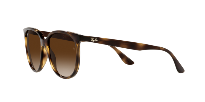 Ray-Ban RB4378 710/13