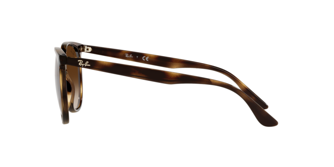 Ray-Ban RB4378 710/13