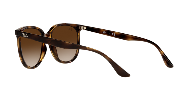 Ray-Ban RB4378 710/13