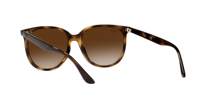 Ray-Ban RB4378 710/13