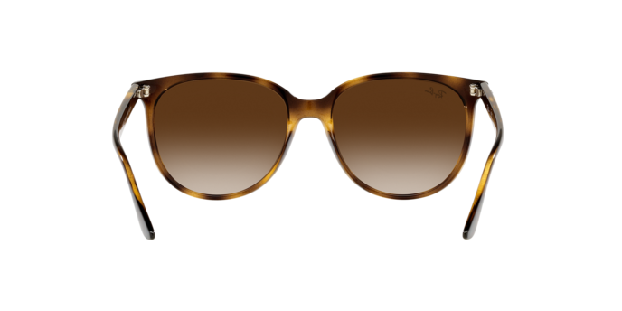 Ray-Ban RB4378 710/13