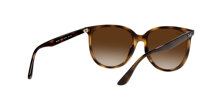 Ray-Ban RB4378 710/13