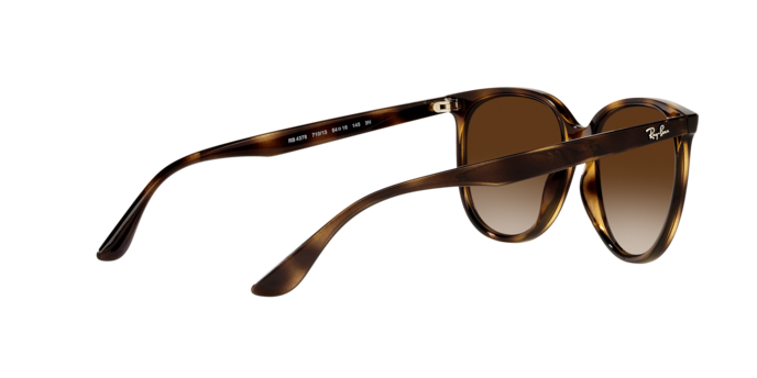 Ray-Ban RB4378 710/13