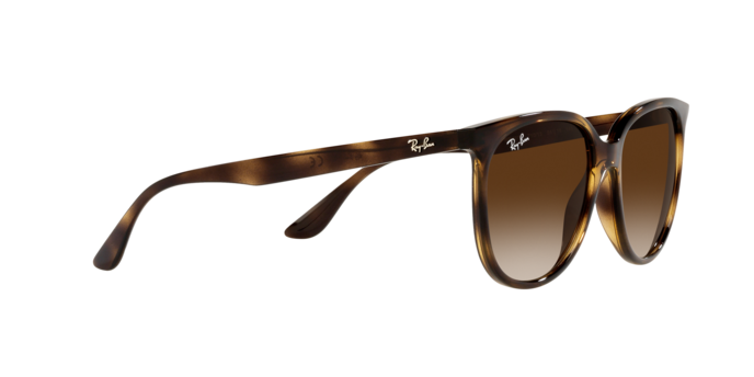 Ray-Ban RB4378 710/13