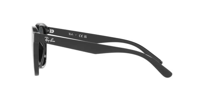 Ray-Ban RB4392D 601/87