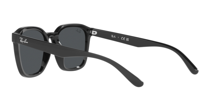 Ray-Ban RB4392D 601/87