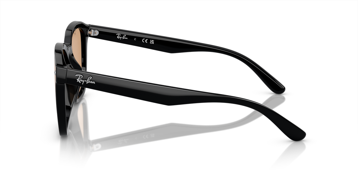 Ray-Ban RB4392D 601/93