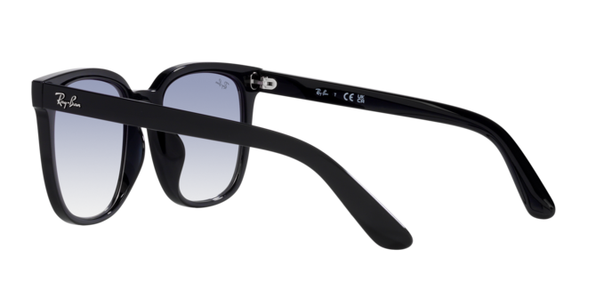 Ray-Ban RB4401D 601/19