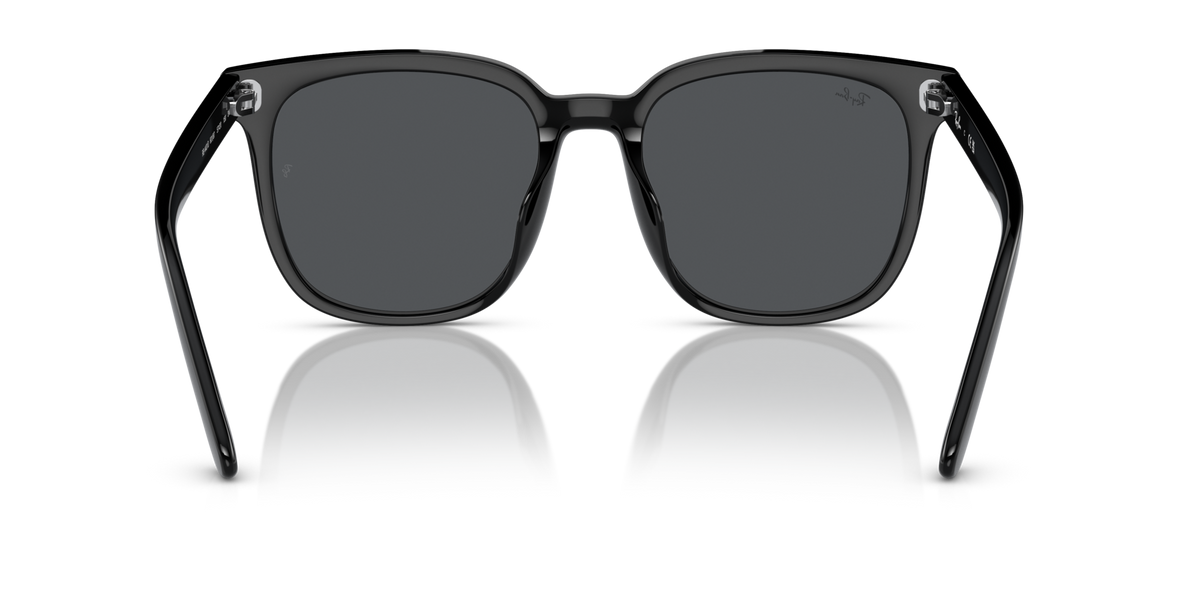 Ray-Ban RB4401D 601/87