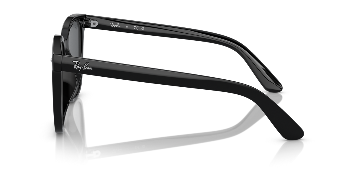 Ray-Ban RB4401D 601/87