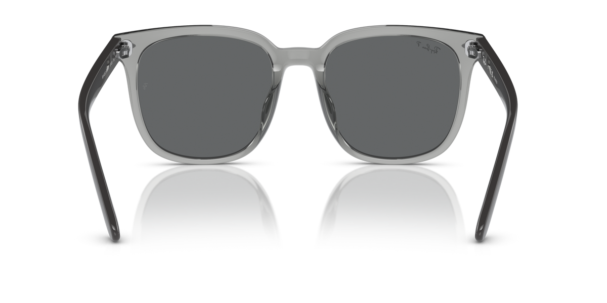 Ray-Ban RB4401D 659981