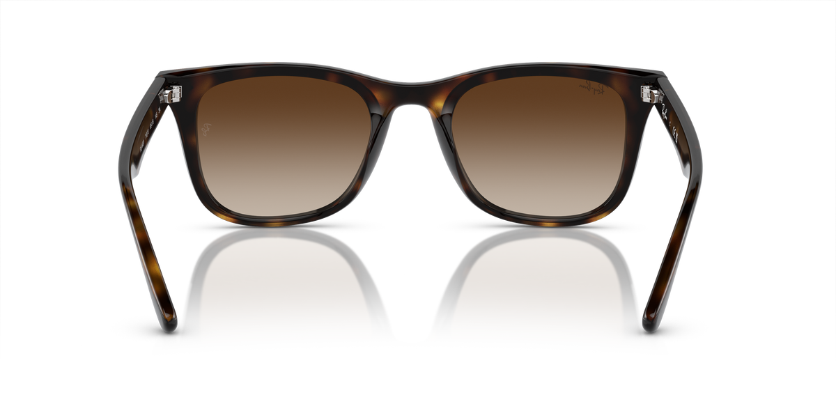 Ray-Ban RB4420 710/13