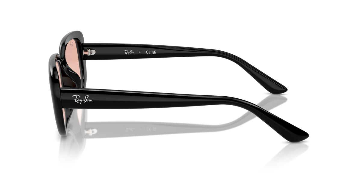 Ray-Ban RB4421D 667784