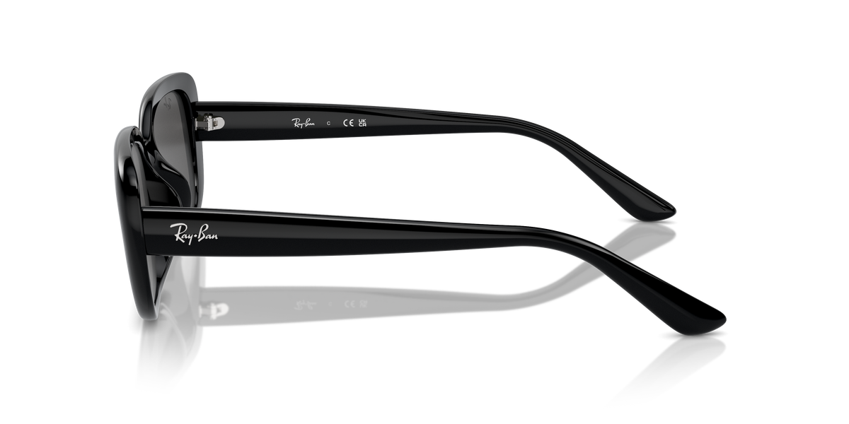 Ray-Ban RB4421D 667787