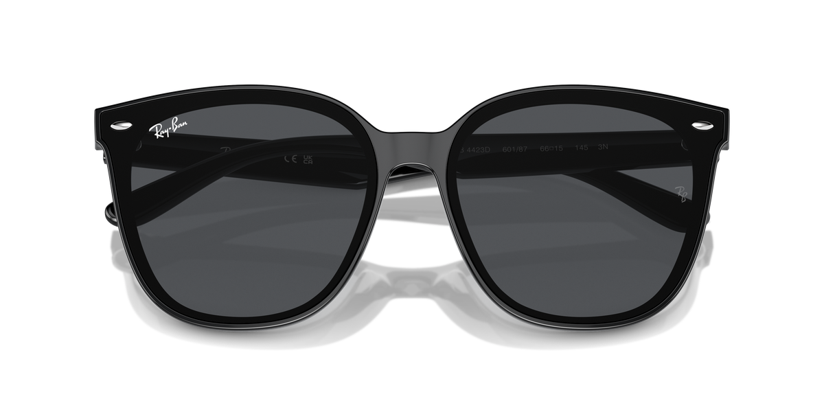 Ray-Ban RB4423D 601/87