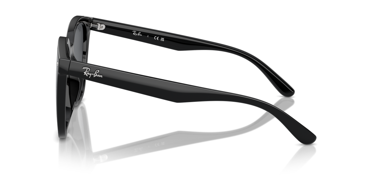 Ray-Ban RB4423D 601/87