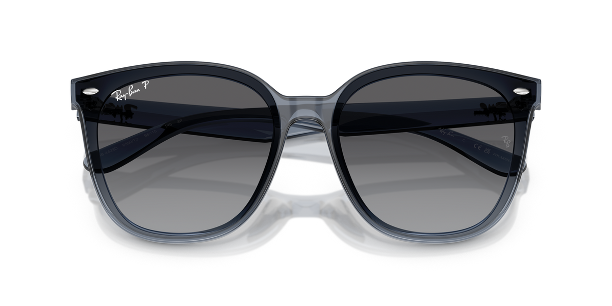 Ray-Ban RB4423D 6592T3