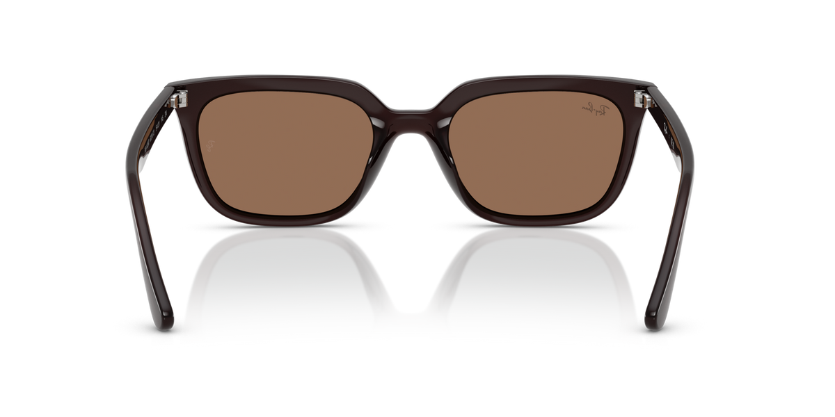 Ray-Ban RB4439D 623173