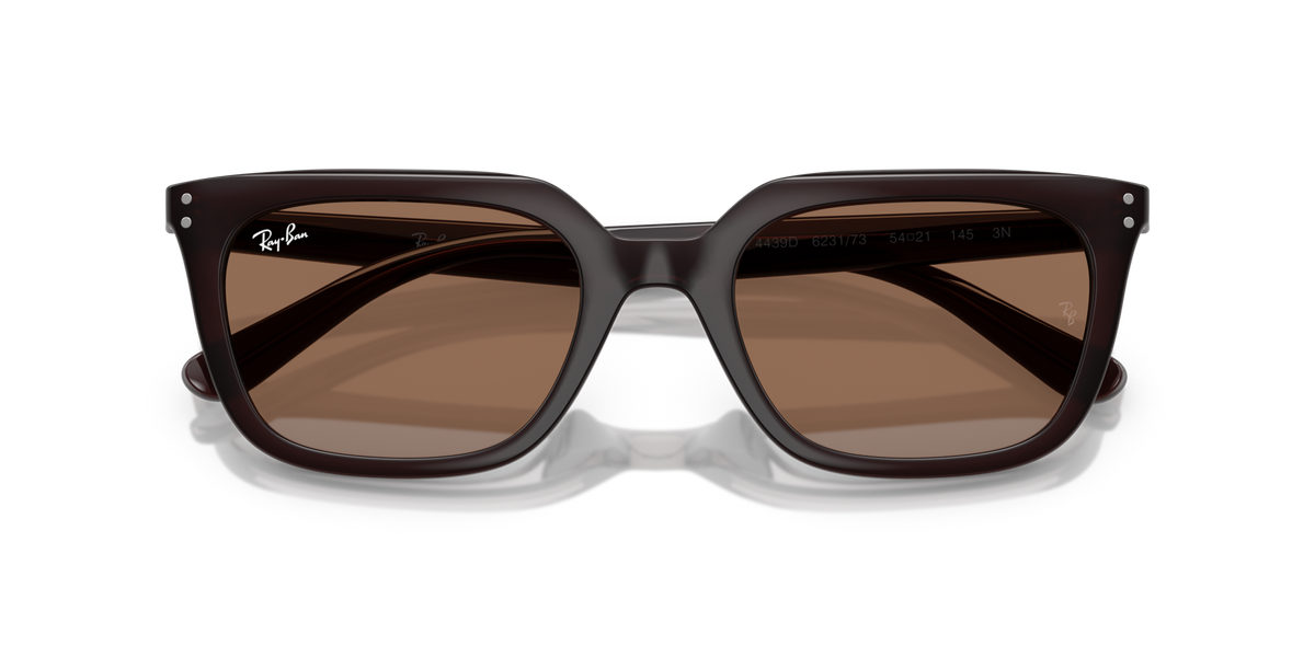 Ray-Ban RB4439D 623173