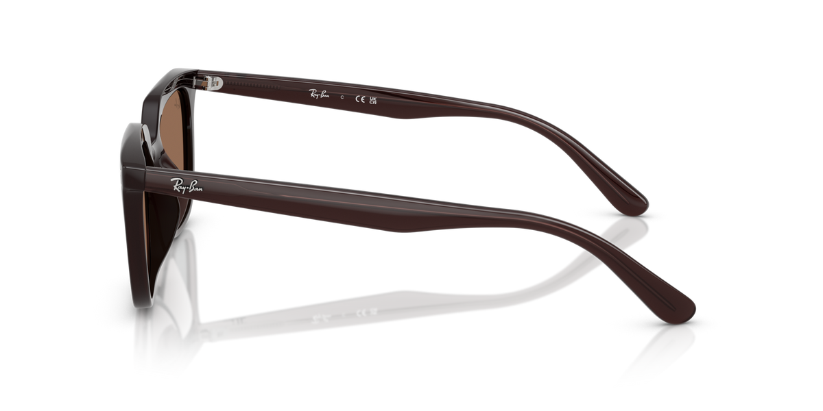 Ray-Ban RB4439D 623173
