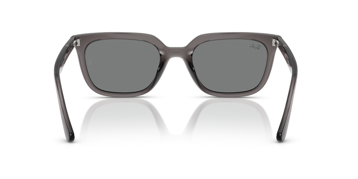 Ray-Ban RB4439D 667587