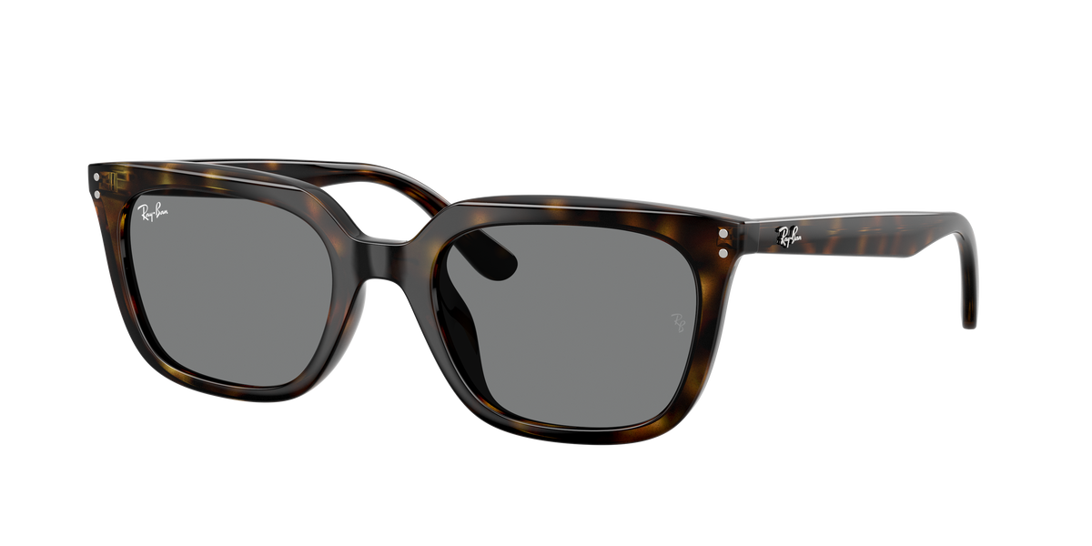 Ray-Ban RB4439D 710/87
