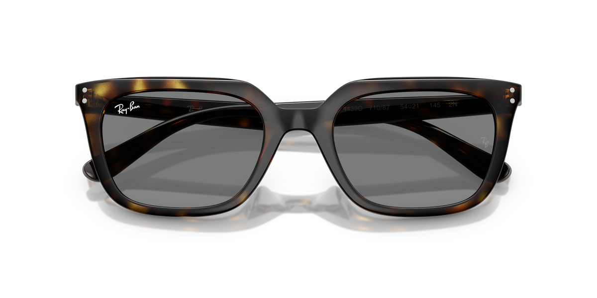 Ray-Ban RB4439D 710/87